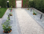 IMG00042011