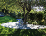 IMG03192012