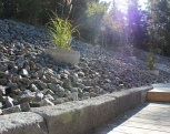 IMG03282011