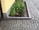 IMG09992011