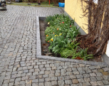 IMG10022011