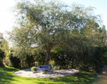 IMG0440201